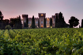  Hostellerie du Château des Fines Roches  Шатонеф-Дю-Пап